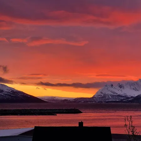 Loftsleilighet Midt I Sentrum