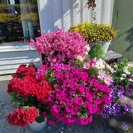 Loftsleilighet Midt I Sentrum * Skjervoy