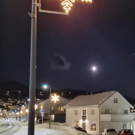 公寓 Loftsleilighet Midt I Sentrum Skjervoy