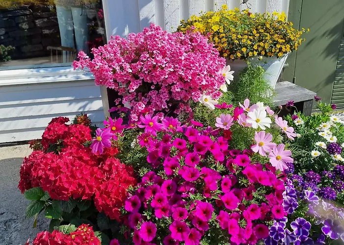 Loftsleilighet Midt I Sentrum * Skjervoy